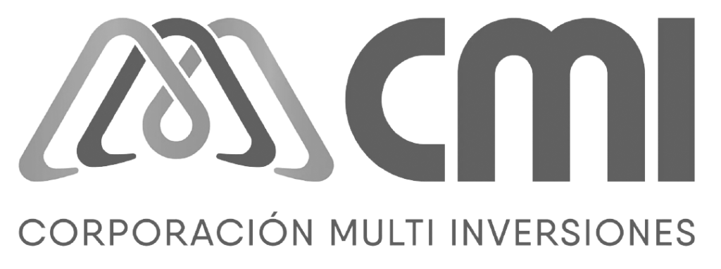 CMI- Logo-gris