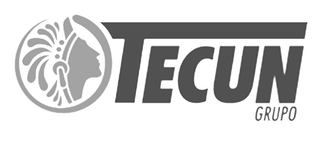 Tecun-Logo-gris