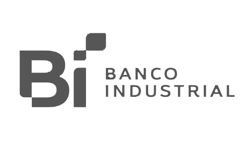 Banco Industrial_Gris